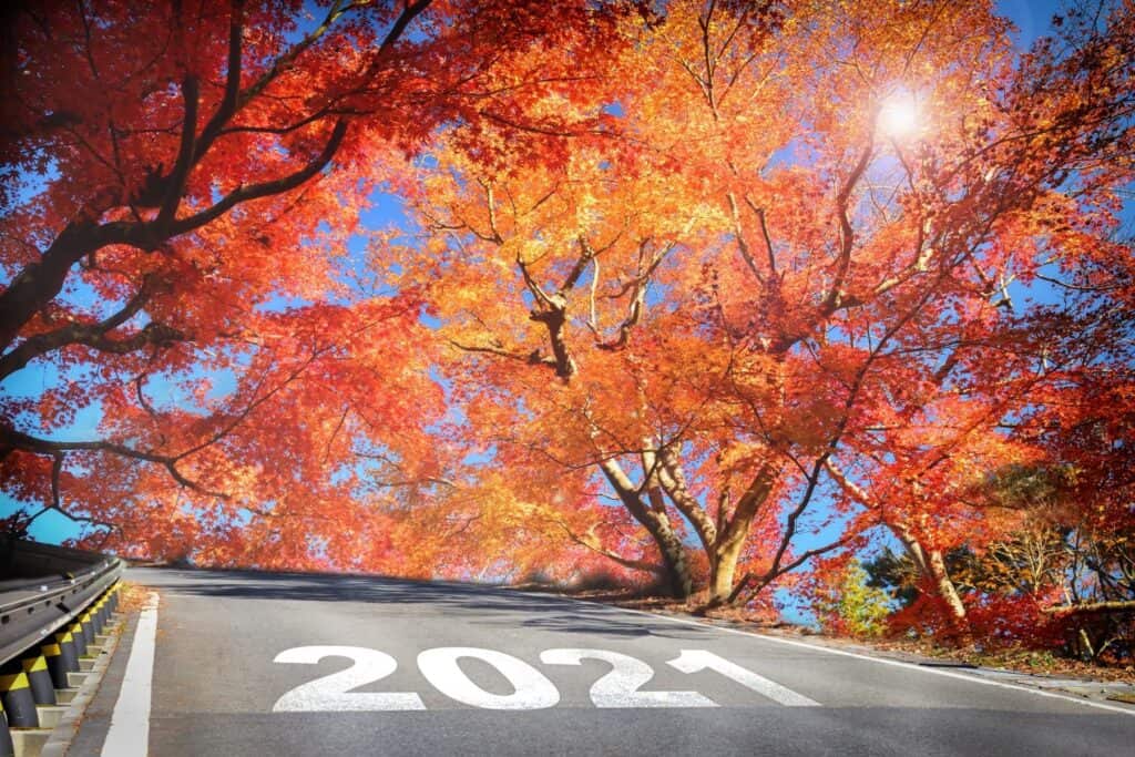Looking ahead 2021
